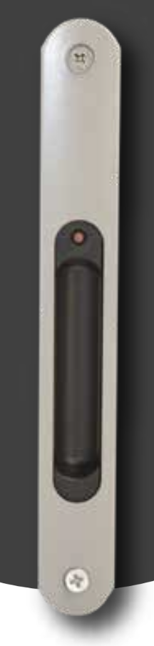 Jaladera Embutir T/Europea Fijación con tornillo Natural 29.70